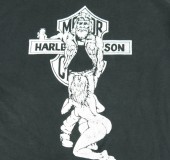 7月 19, 2016 at 5:27 pm