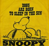 11月 3, 2019 at 7:04 pm