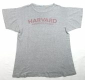 6月 11, 2023 at 3:01 pm