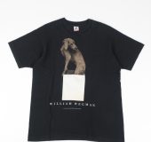 8月 5, 2023 at 9:07 am