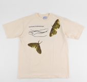 8月 11, 2024 at 2:50 pm